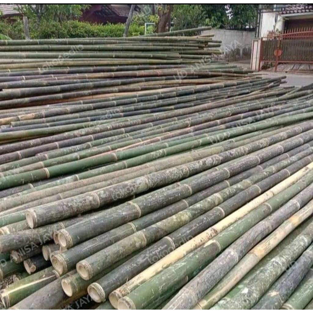jual bambu steger lurus