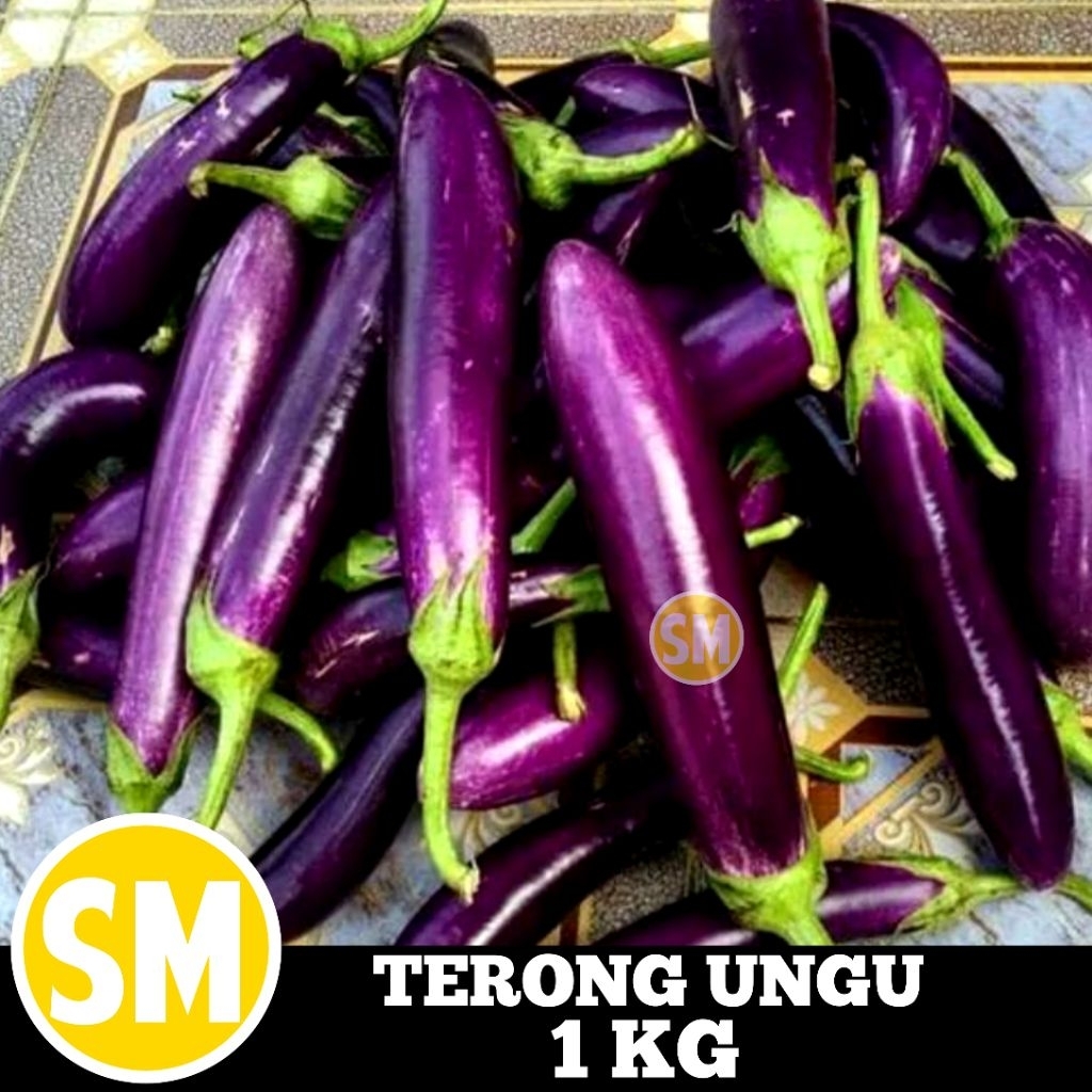 TERONG UNGU 1 KG