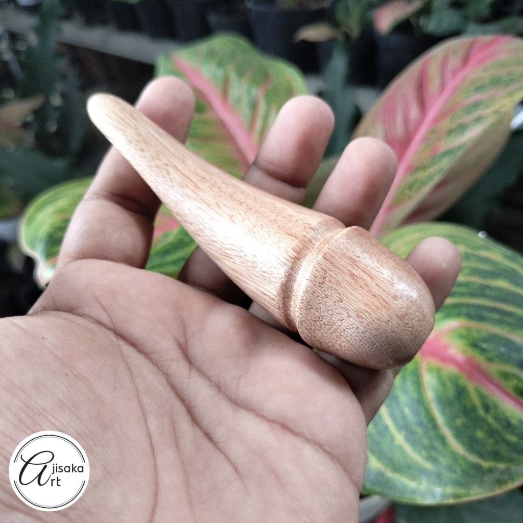 AJISAKA_ART | pipa once / once cangklong unik dan antik kayu setigi kayu stigi