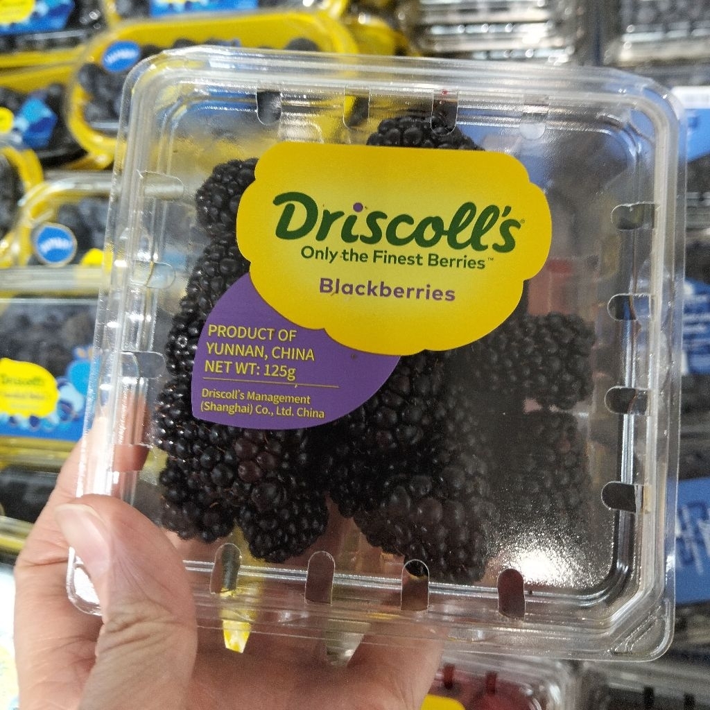Driscoll's Blackberries 125g / Buah Blackberry Segar / Blackberry Impor