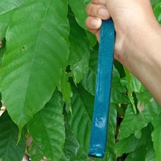 tangkai egrek sawit Egrpro original