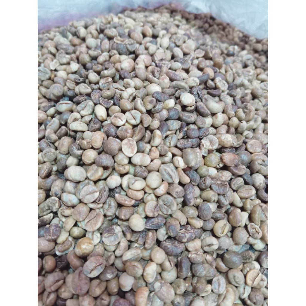 GREEN BEAN BIJI KOPI ROBUSTA LAMPUNG GRADE 3.A BERAT 1KG