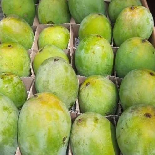 Mangga Harum Manis Super 500 gr/1 kg
