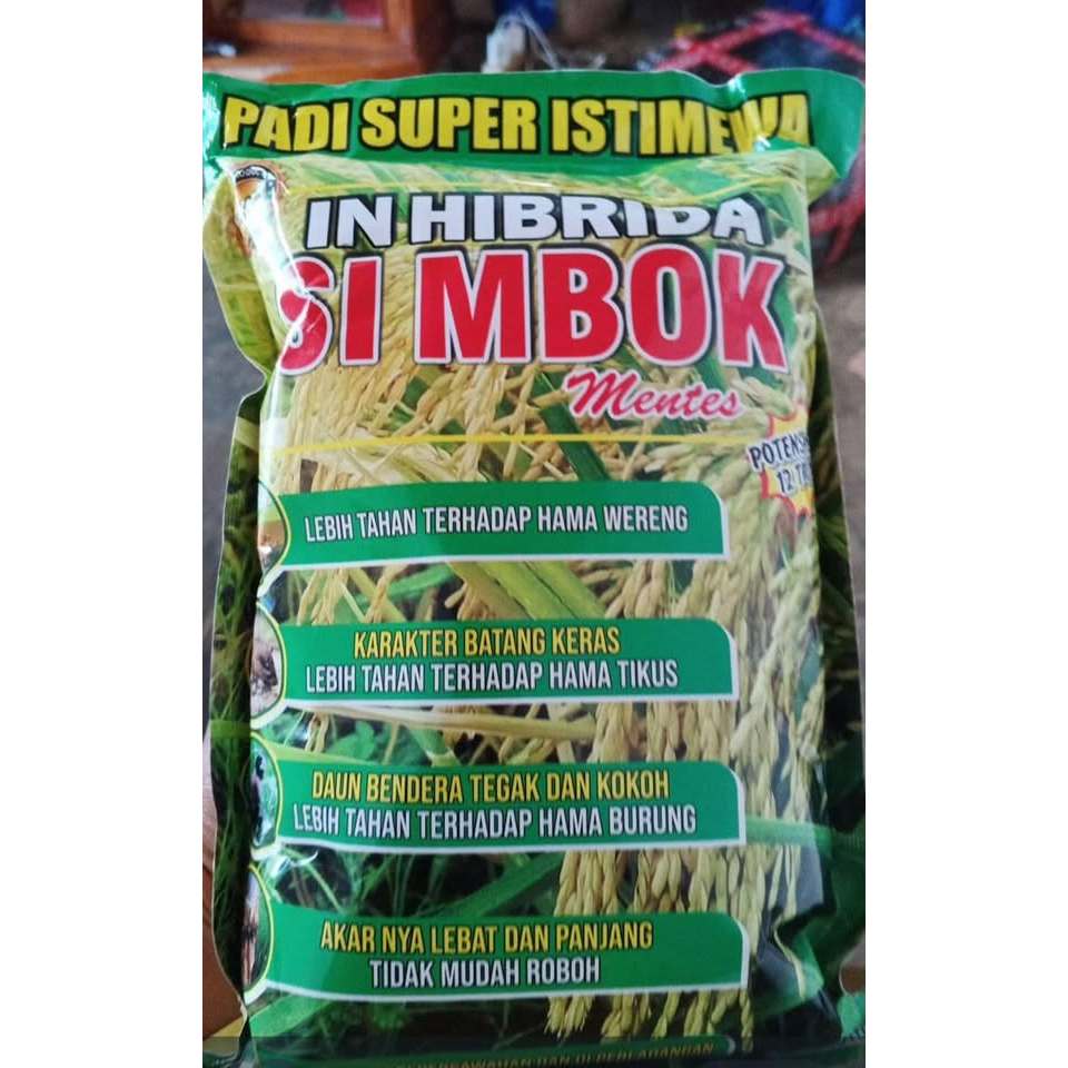 Benih padi unggul simbok umur pendek kemasan 1kg usia 85-90 Hst exp 0626 varietas padi unggul simbok