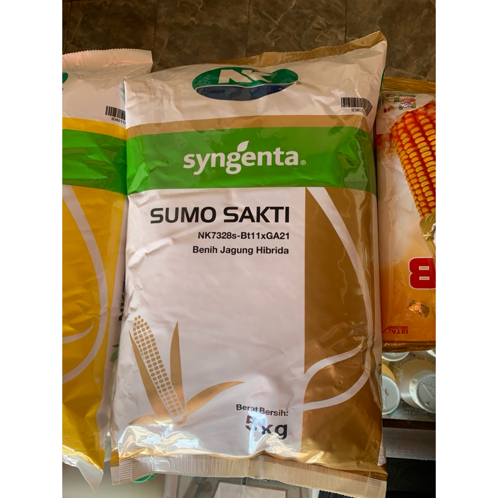 SUMO SAKTI BENIH JAGUNG