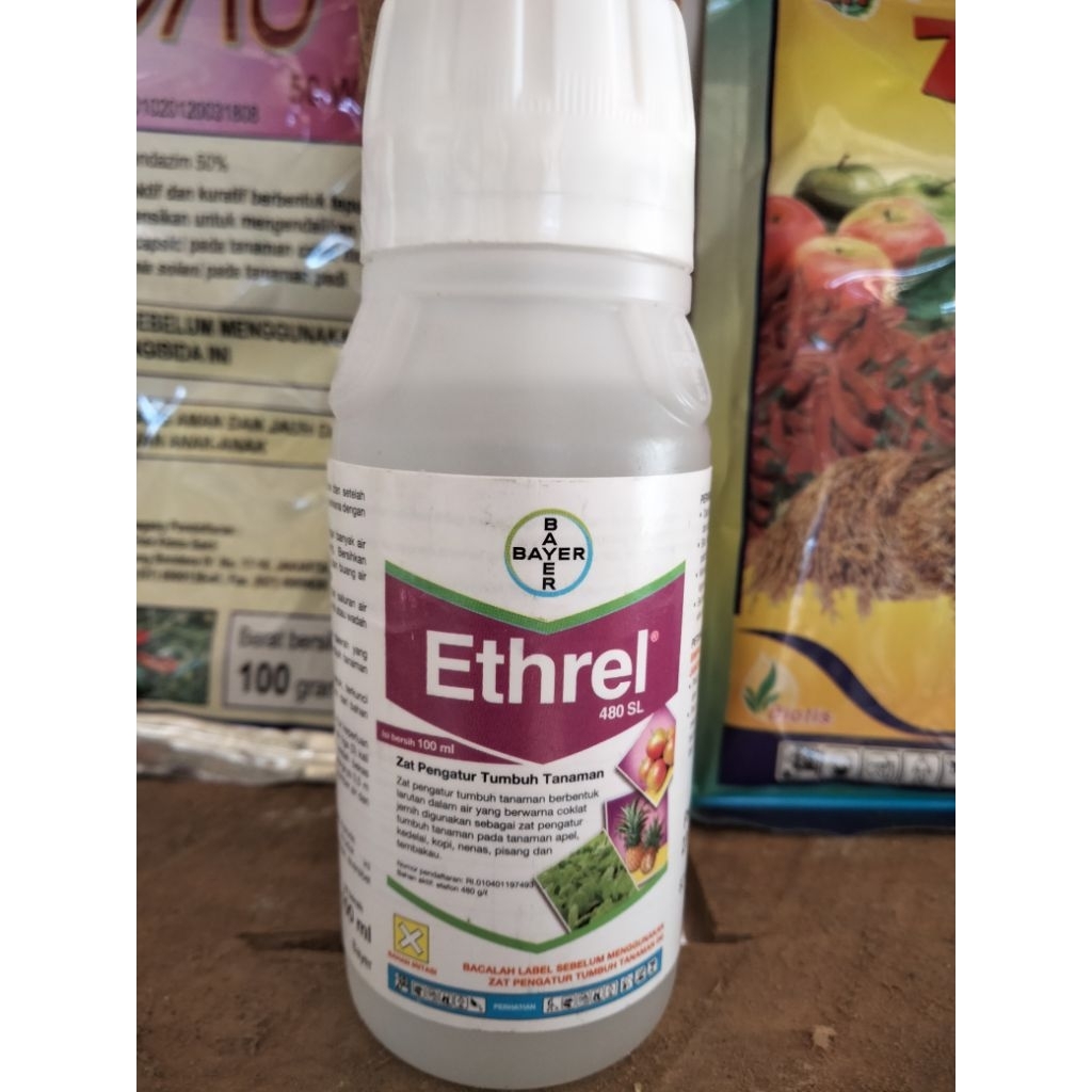 Ethrel pematang buah