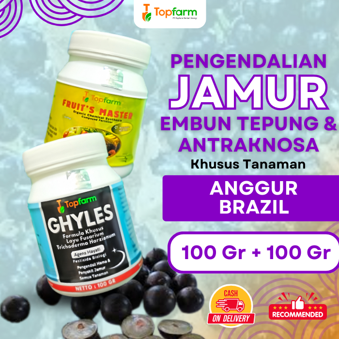 Obat Pembasmi Hama Penyakit Tanaman Anggur Brazil/ Obat Pembasmi Jamur Daun Anggur/ Obat Jamur Tanam