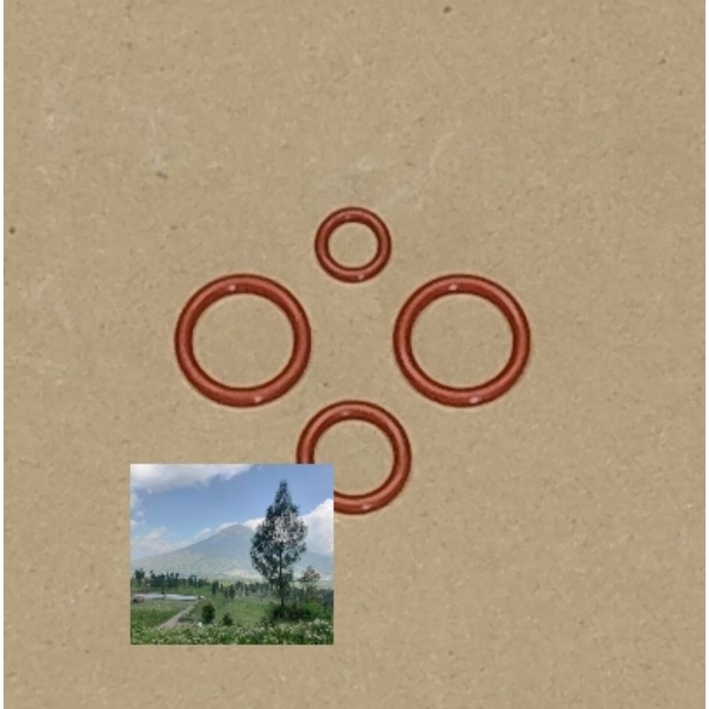 SEAL EXPANSI VALVE TOYOTA RAV4 tahun 2000-2005