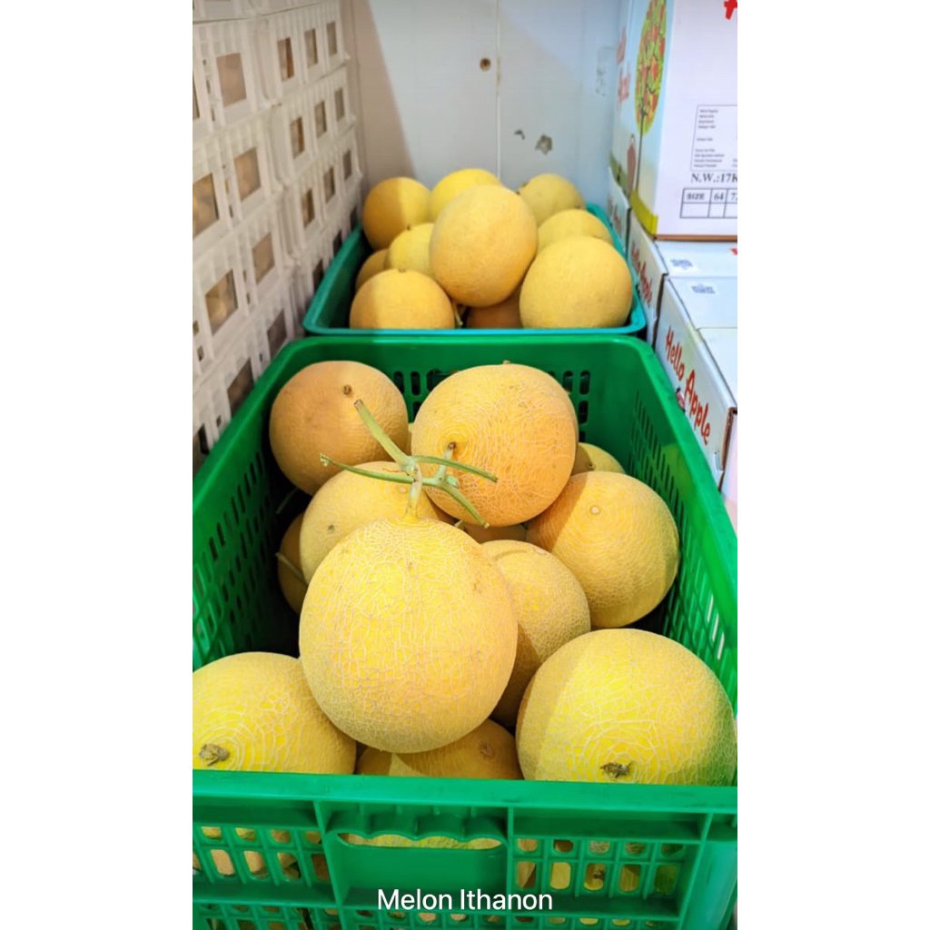 MELON INTHANON / MELON SWEET NET PER KG