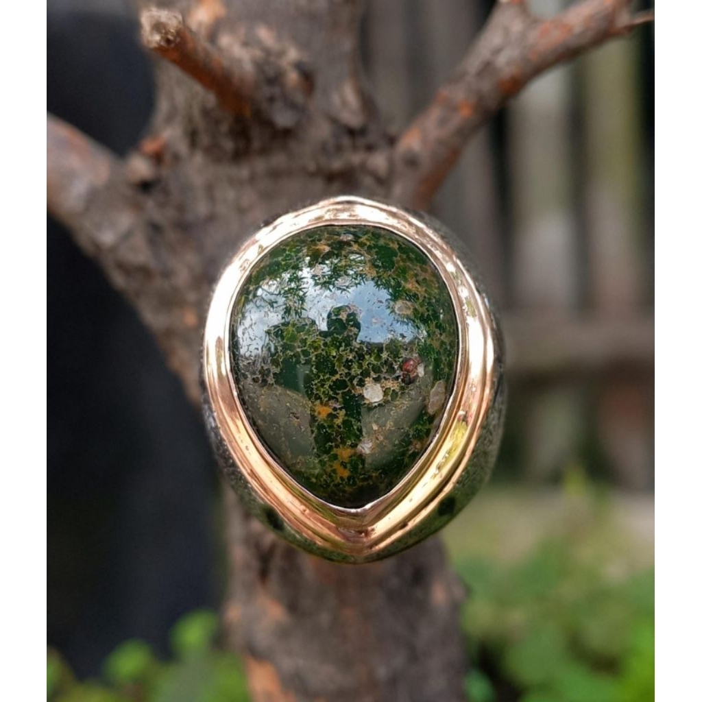 pirus persia Hijau Kedongdong