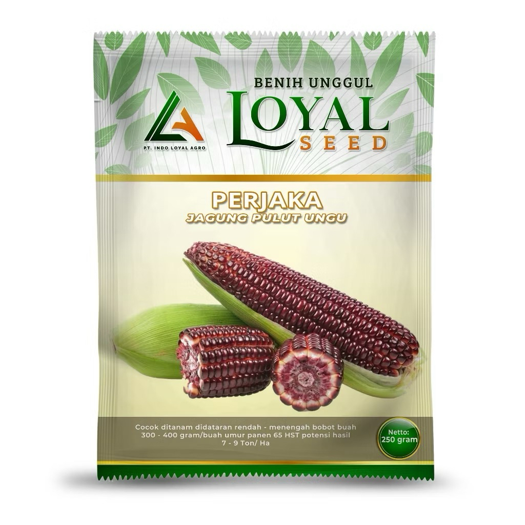 BENIH JAGUNG PULUT UNGU UNGGUL PERJAKA  250 GR CAP LOYAL SEED