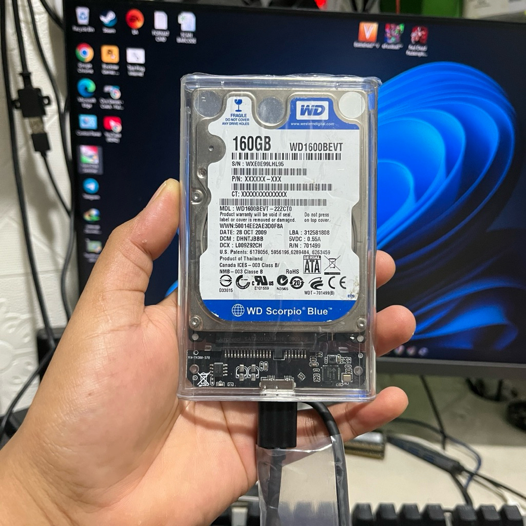 HARDDISK EKSTERNAL WD BLUE 160GB SENTINEL 97%