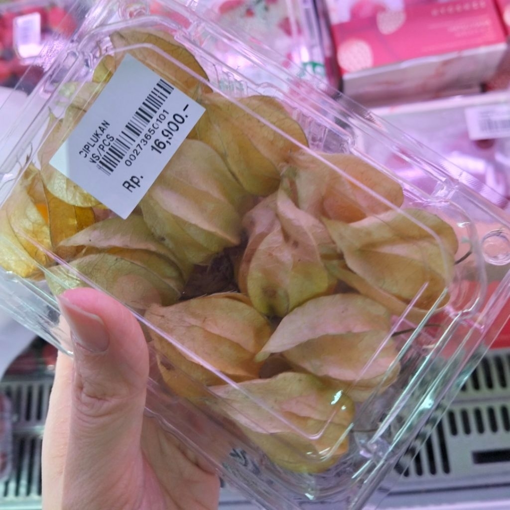 [1 Pack] Buah Ciplukan / Ciplukan Segar / Golden Berry