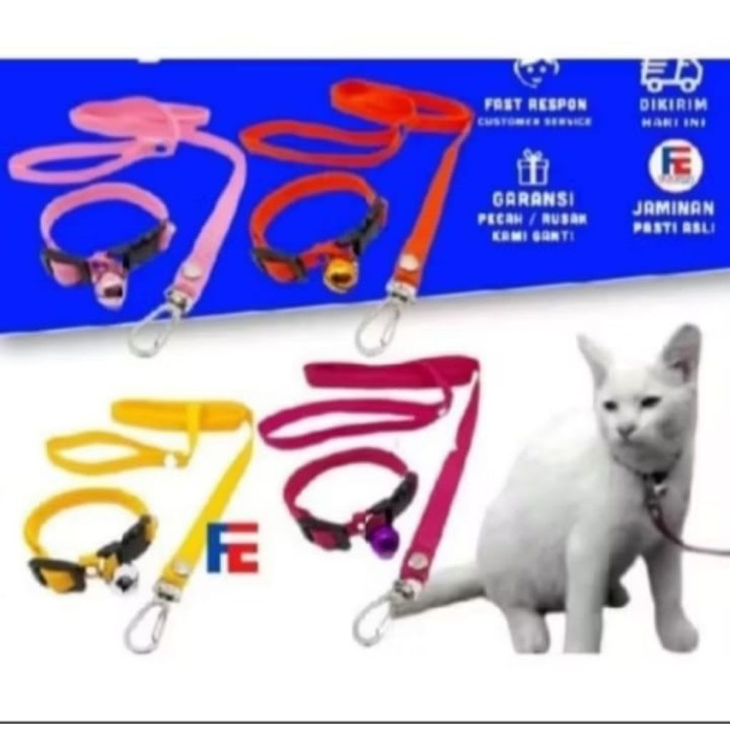 tali kucing + kalung... panjang sekitar 1,2 m.