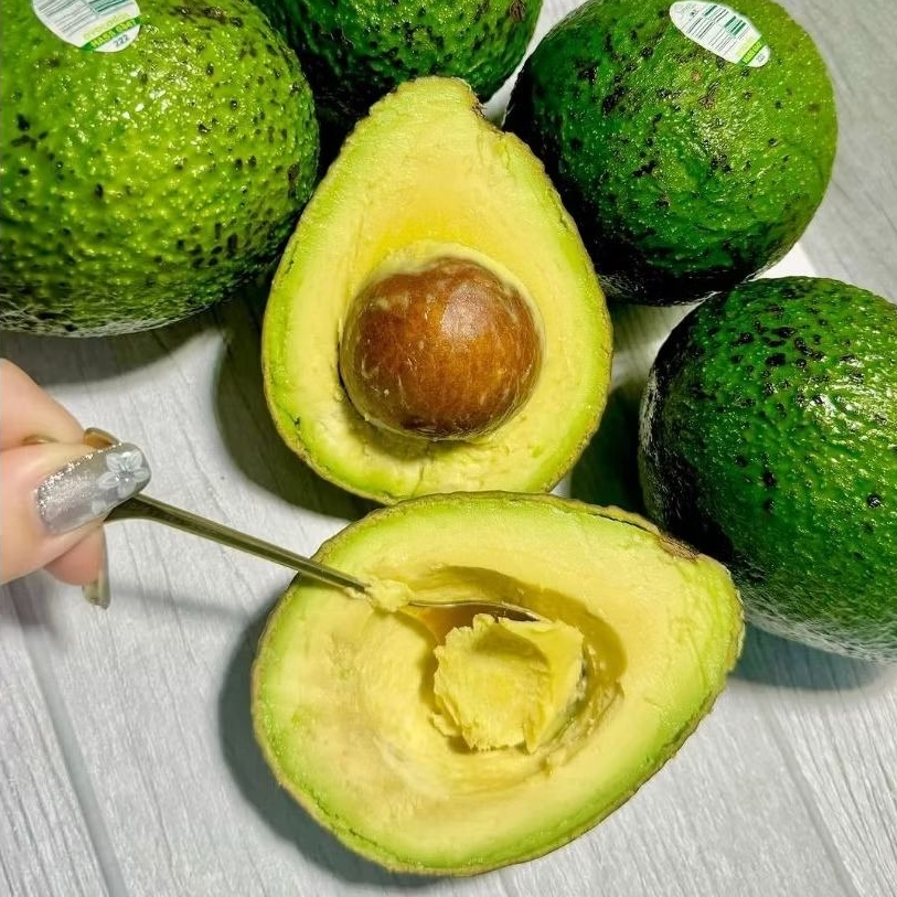 ALPUKAT MENTEGA MIKI 1kg