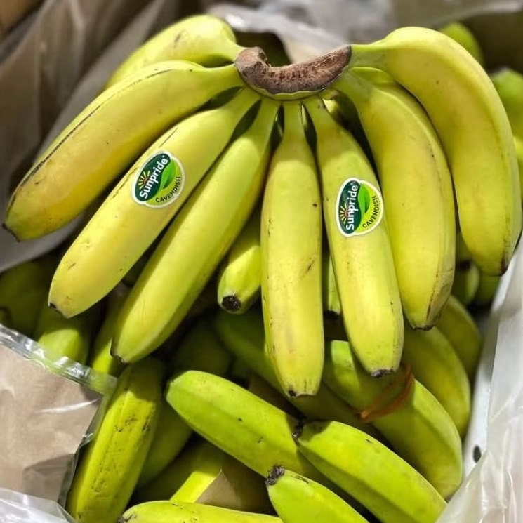 PISANG SUNPRIDE 1 SISIR