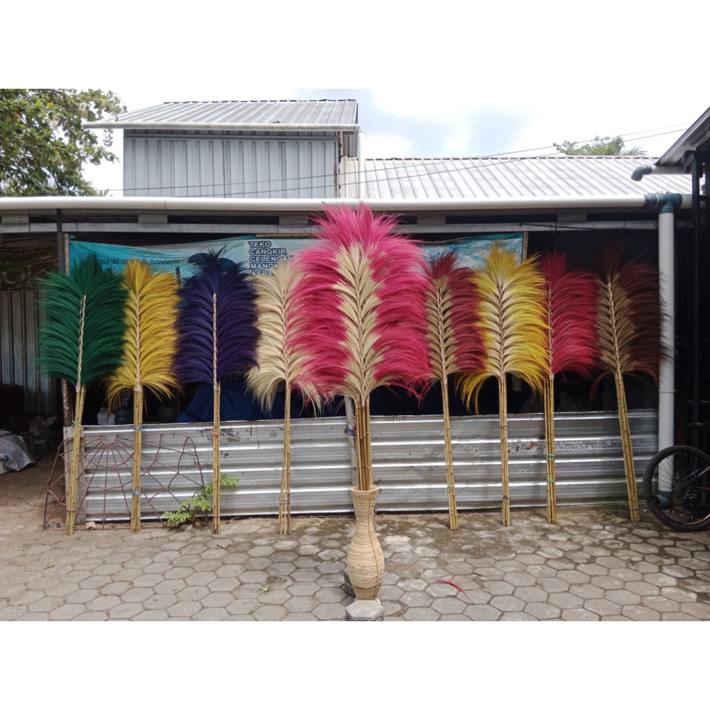 Home decor Rayung warna/Rayung kering/Stik Rayung Panjang