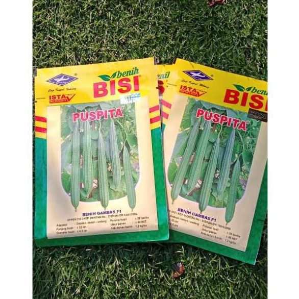 Benih gambas f1 puspita 10gr