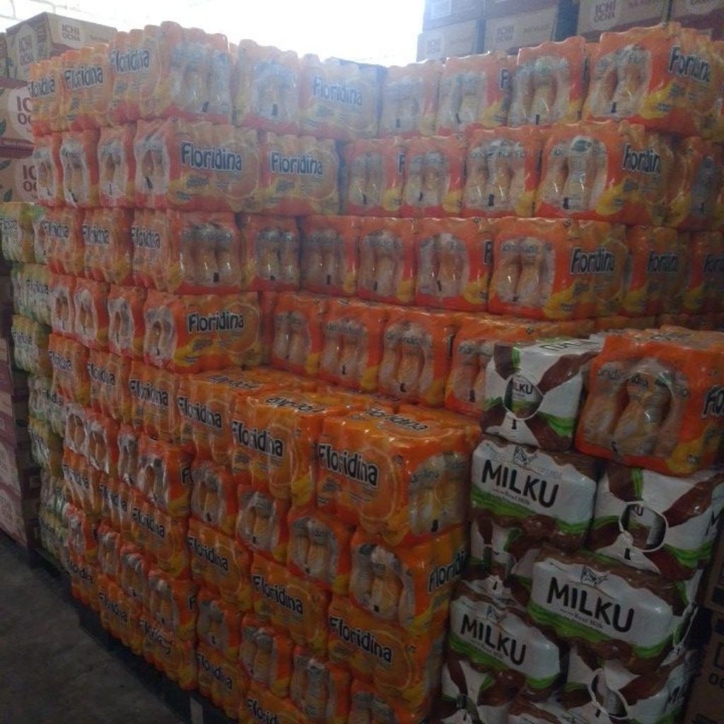 minuman floridina 12 botol