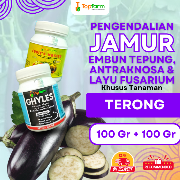 Fungisida Jamur Terong / Obat Jamur Akar Terong / Obat Layu Fusarium Pada Terong / Fungisida Mencega