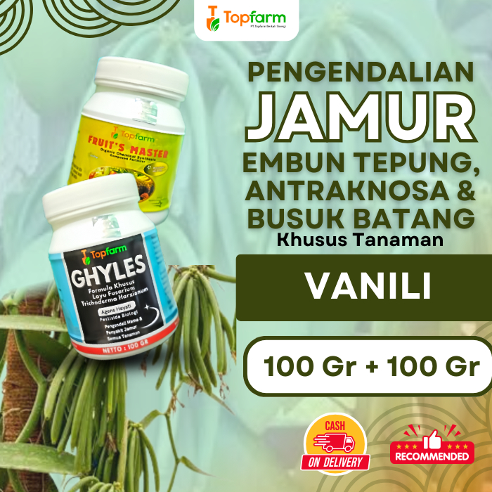 Obat jamur Tanaman Vanili / Fungisida Jamur Vanili / Obat Anti Jamur Tanaman Vanili / Fungisida Pemb