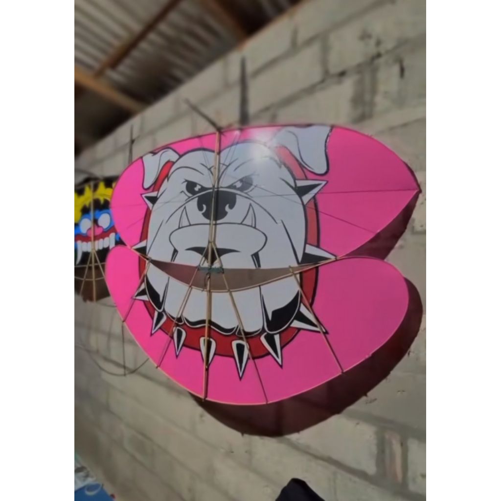 Gapangan Babon Angrem  kontes Set Sendaren 1-2 meter siap terbang