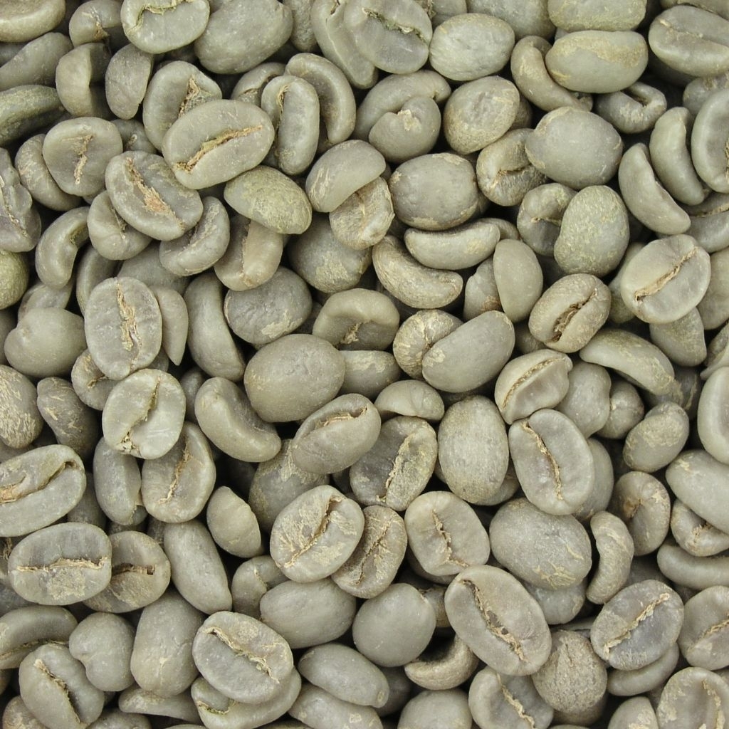 biji kopi robusta mentah 1kg