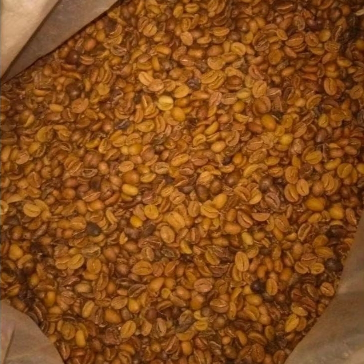 Green Bean Arabika Wine 1kg [Dukuh Coffee] Premium Coffee Wonosobo Specialty Beans Indonesia