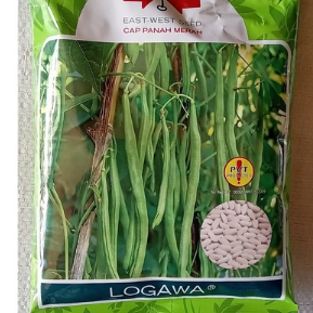 BUNCIS LOGAWA F1, 500 GR /Benih Buncis LOGAWA isi 500gram (Cap Panah Merah) /BENIH BUNCIS LOGAWA CAP