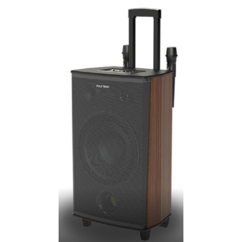 POLYTRON PAS PRO 10F6 SPEAKER PORTABLE