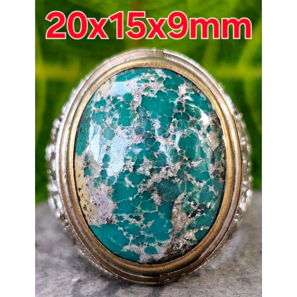 pirus Persia ceplok kuro