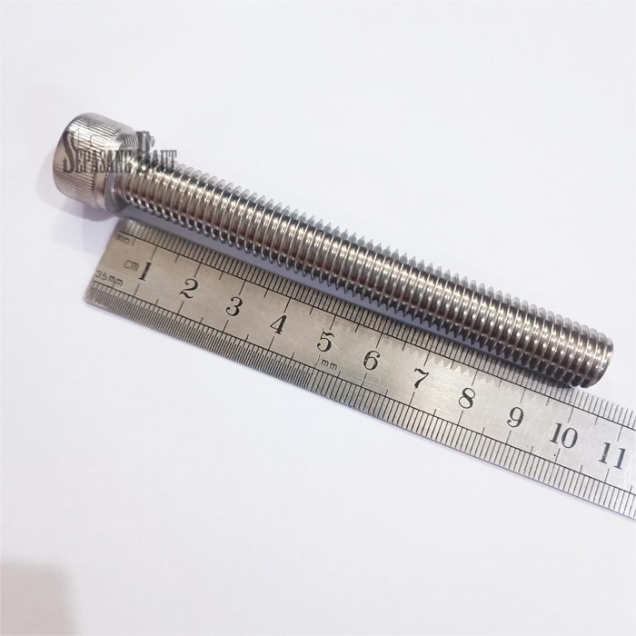 M12 x 100 Baut L Hex Head Socket Screw Stainless 304 M12x100