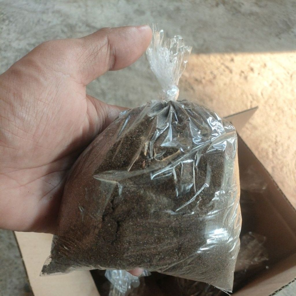 kopi goreng lokal pati Jawa Tengah
