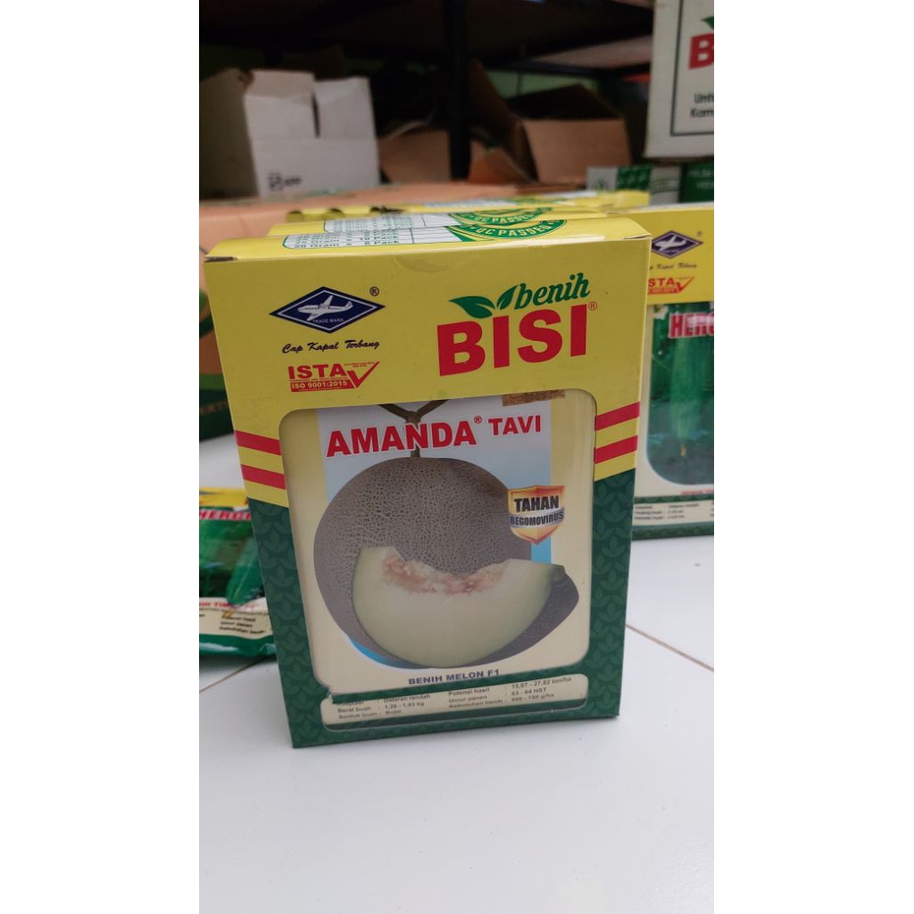 Amanda Tavi Benih Melon