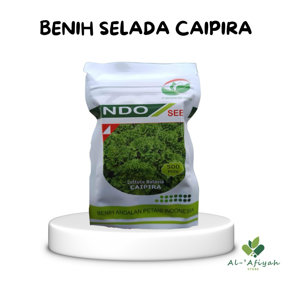 Benih Selada Caipira IndoSeed 500pils