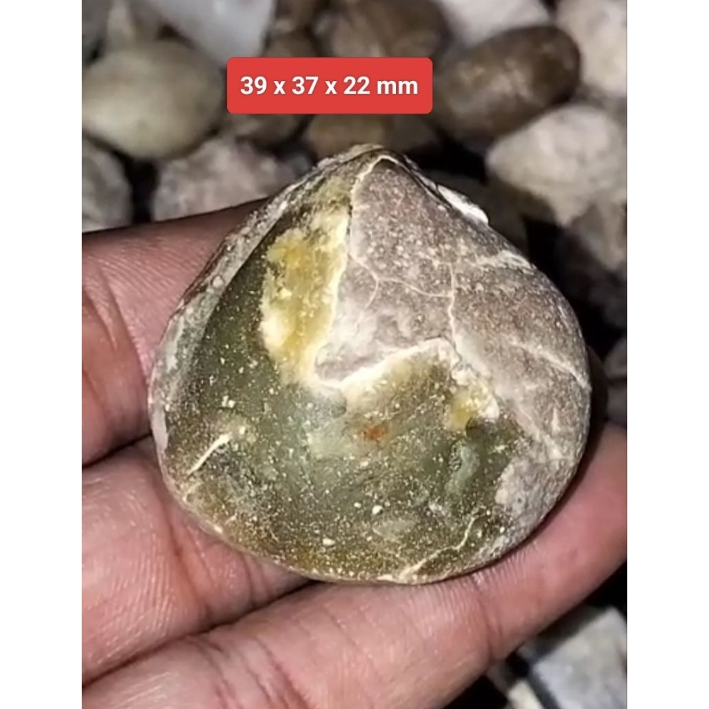 Batu akik kijing bungkem asli alam