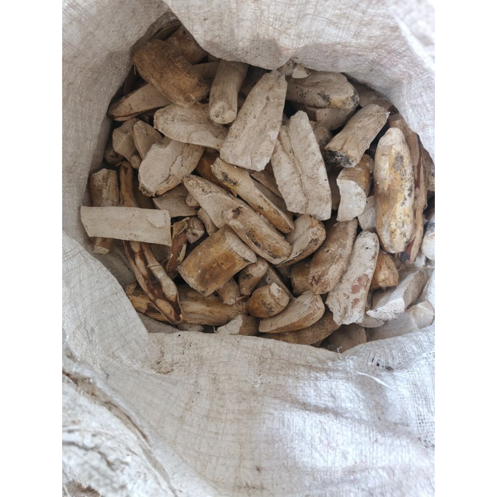 gaplek singkong / telo kering 1kg