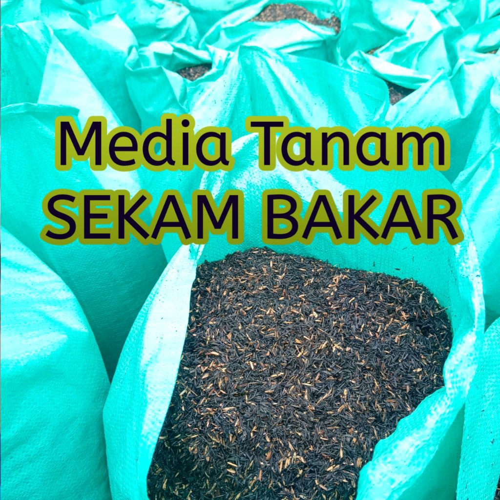 Media Tanam ARANG SEKAM 1 Karung 50 kg
