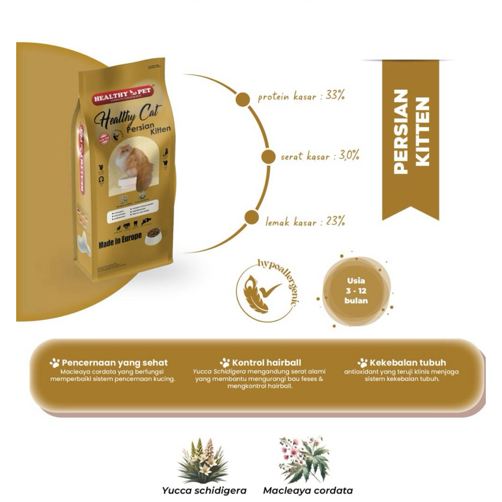 Healthy Pet Persian Kitten / Healthy Cat Persian Kitten Made in Europe