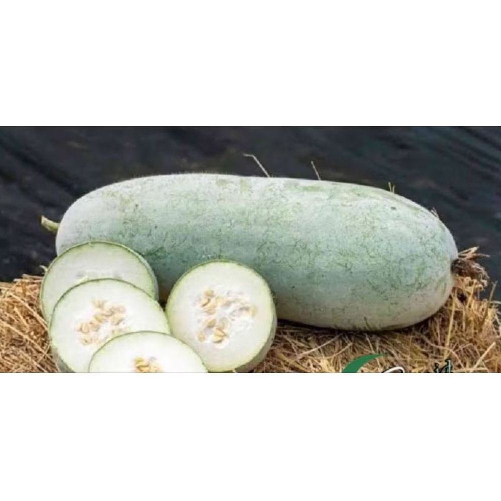 Buah Blonceng / beligo / labu air 1 buah