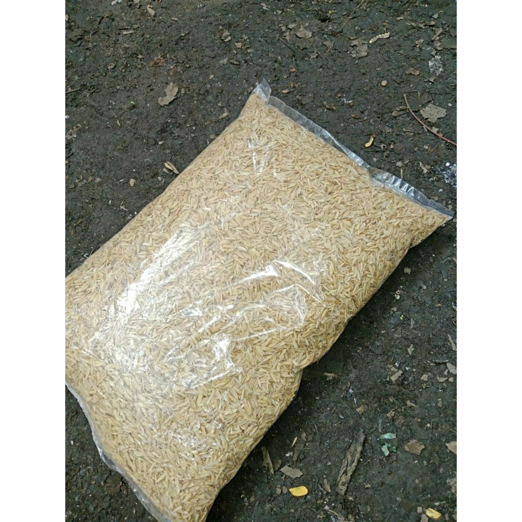 Sekam / Sekam mentah / Sekam padi/500gr