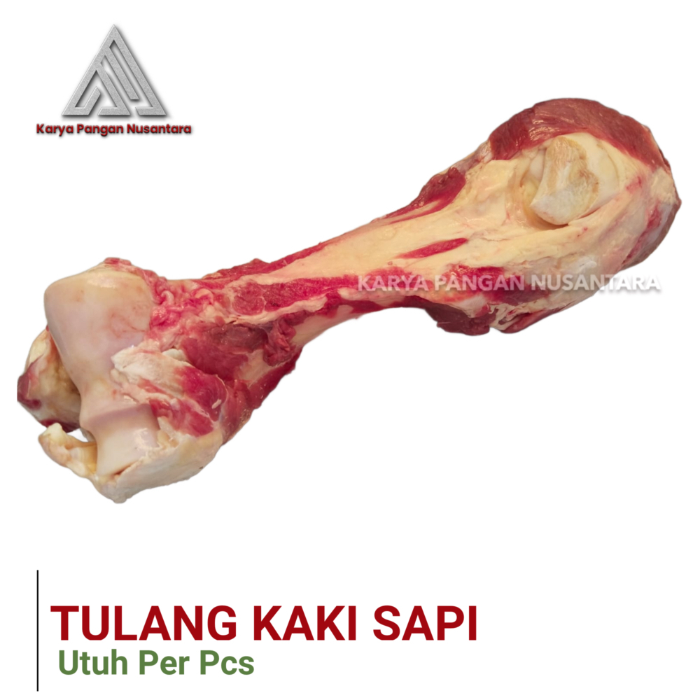 TULANG KAKI SAPI TULANG KAKI SUMSUM SAPI TULANG KALDU KAKI SAPI SHANK SENGKEL SUMSUM BEEF LEG BONES 