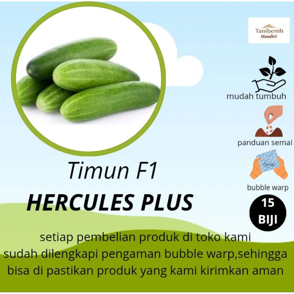 15 Biji Benih Timun HERCULES PLUS