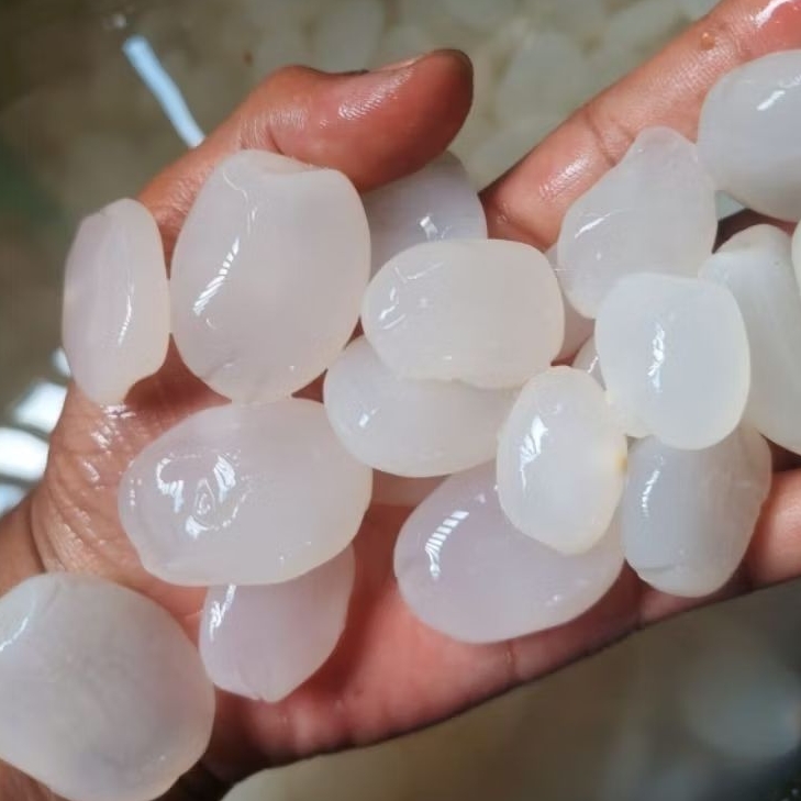 KOLANG KALING MUDA FRESH