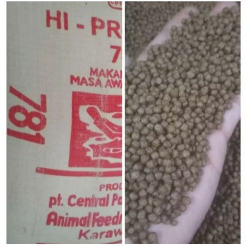 Pelet 781 polos repack 1 kg