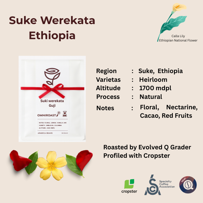 Ethiopia Yirgacheffe Guji Uraga Suke Werekata - Arabica Single Origin Specialty Coffee Natural - Ros