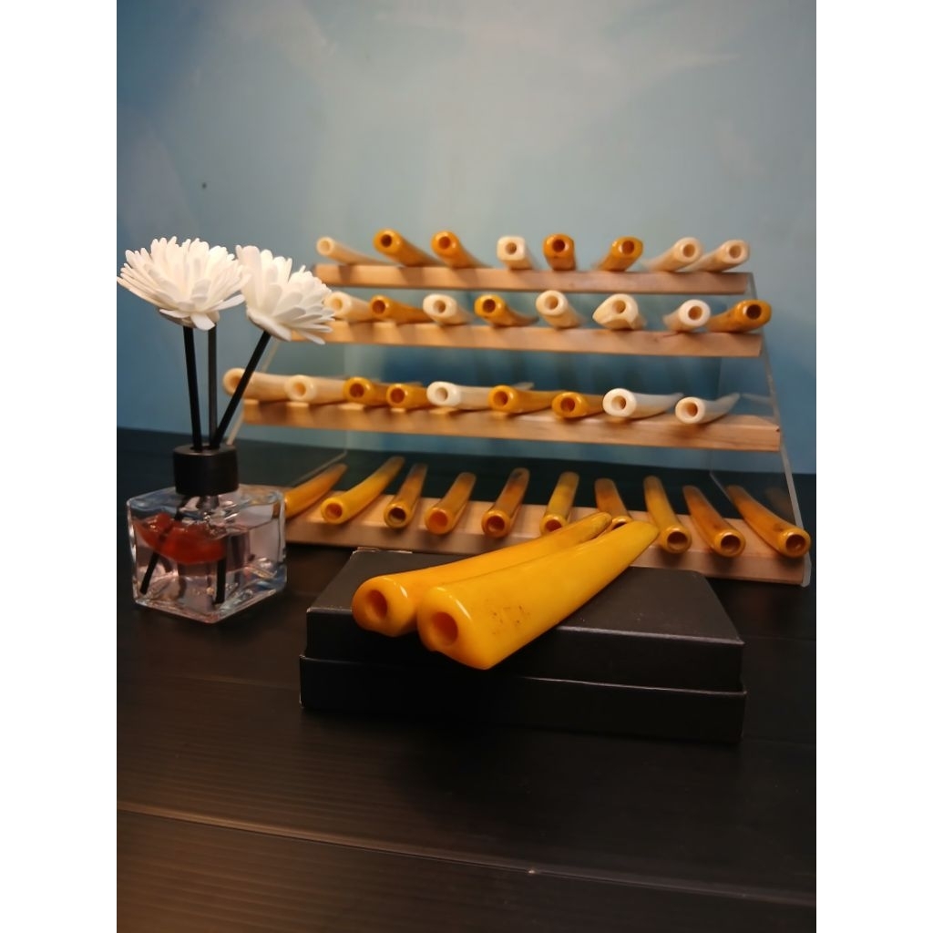 Lawasan once tulang model taring