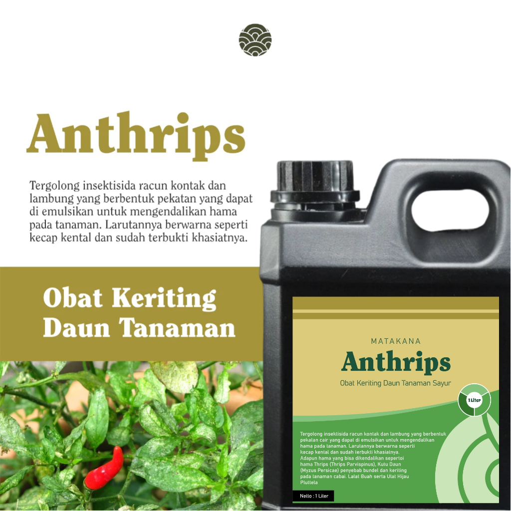Anthrips Obat Keriting Daun Tanaman Cabai 1 Liter Anti Kriting Cabe Thrips Ulat