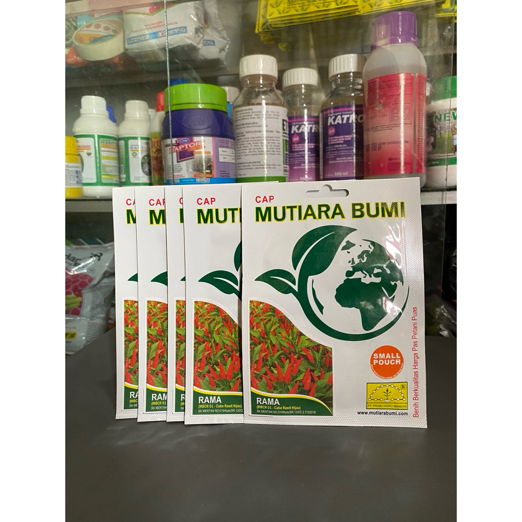 Bibit Cabe Rawit Hijau Rama Mutiara Bumi