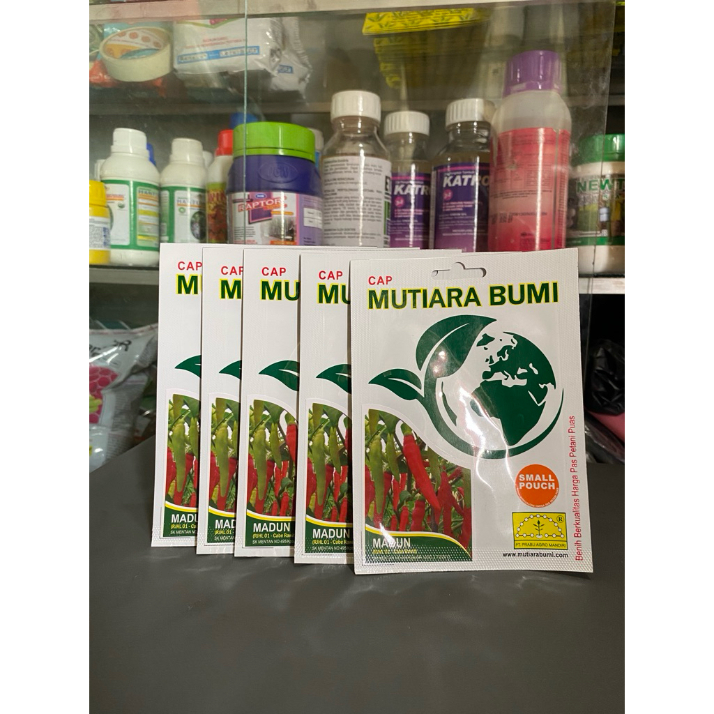 Bibit Cabe Rawit Madiun Mutiara Bumi